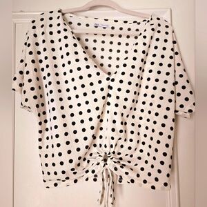 Zara Polka Dot Cropped Top